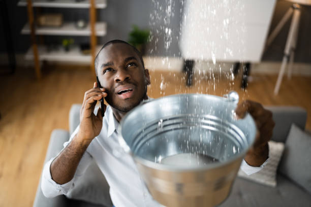 Best 24/7 water damage repair  in Stottville, NY