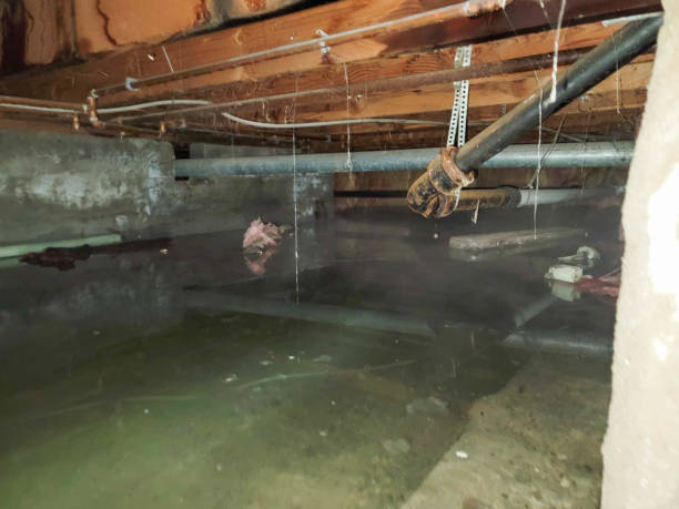 Best Flooded house restoration  in Stottville, NY