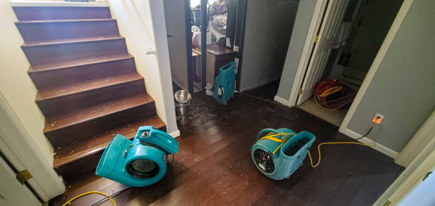 Best Water damage restoration experts  in Stottville, NY
