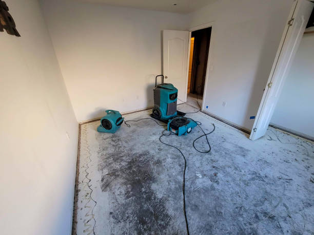 Best Water damage cleanup near me  in Stottville, NY
