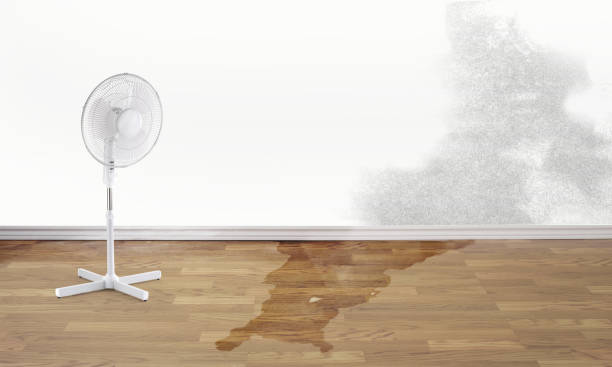 Best Flood damage cleanup  in Stottville, NY