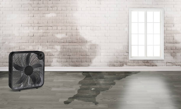 Carpet water damage restoration in Stottville, NY