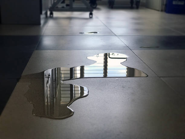 Best Water damage restoration near me  in Stottville, NY