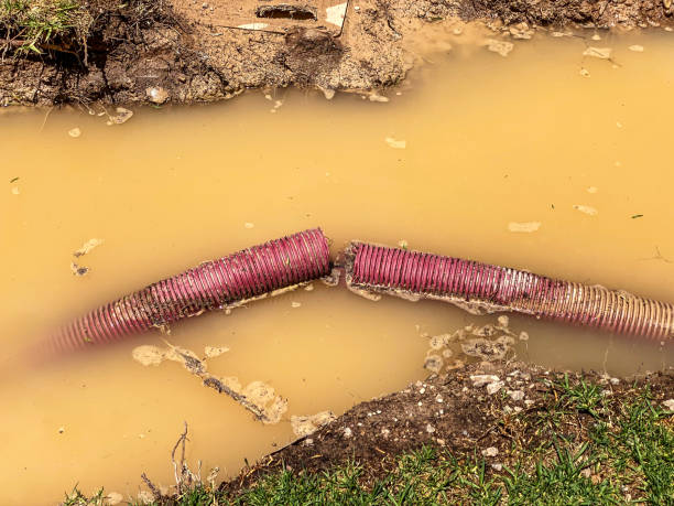 Best Water damage restoration cost  in Stottville, NY